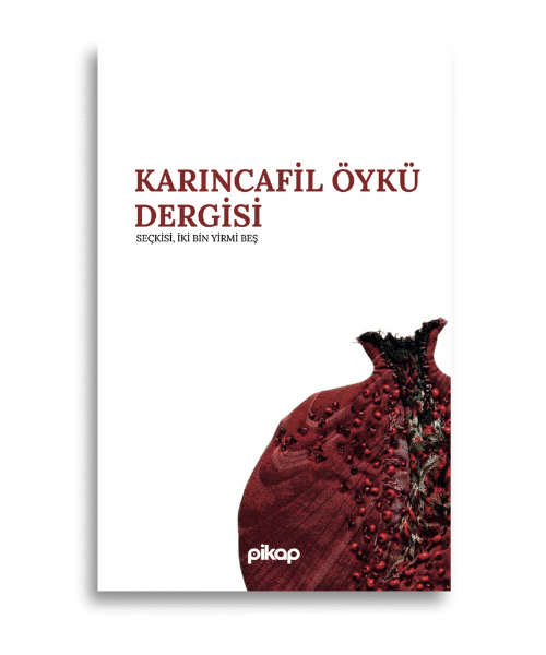Karıncafil Öykü Dergisi Seçkisi 2025