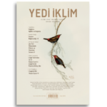 Yedi İklim Dergisi | 435. Sayı