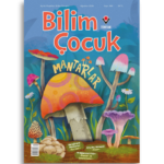 Bilim Çocuk | 344. Sayı